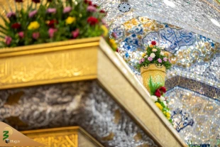 حرم امام حسین(ع) در آستانه میلاد پیامبر(ص) گل‌آرایی شد 2