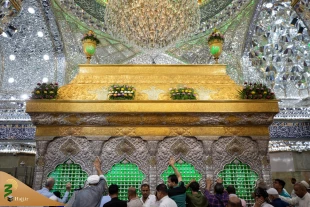 حرم امام حسین(ع) در آستانه میلاد پیامبر(ص) گل‌آرایی شد 4