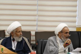 در نشست نمایندگان بیوت مراجع تقلید مطرح شد؛

سازوکار فقهی و راه‌کارهای سهولت «حلق» 3