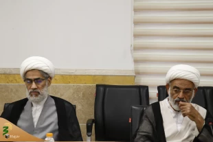 در نشست نمایندگان بیوت مراجع تقلید مطرح شد؛

سازوکار فقهی و راه‌کارهای سهولت «حلق» 9
