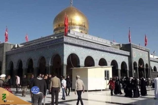 رئیس سازمان حج و زیارت:

سفر زیارتی سوریه به دلیل مسائل امنیتی متوقف شد