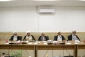 Representatives of Taqlid Authorities Call for Jurisprudential Mechanism and Solutions 5