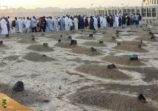حضور زائران در مسجدالنبی و قبرستان بقیع 7