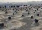 حضور زائران در مسجدالنبی و قبرستان بقیع 9