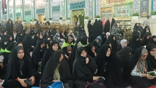 تبیین جایگاه حضرت معصومه(س) نزد اهل بیت(ع) 3