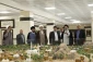 Qom Governor meets with the Supreme Leader's representative in Hajj and Pilgrimage affairs 2