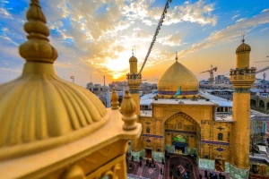 حرم شناسی در بارگاه مطهر امیرالمومنین علی (ع)+ فیلم 