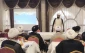 برگزاری جلسه روحانیون مدینه منوره در هتل سبال با تأکید بر بهبود خدمات معنوی و هدایت زائران 5