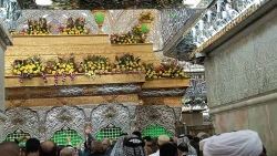 بمناسبت سالروز ولادت حضرت زینب(س) صورت گرفت؛
گل آرایی حرم حضرت سید الشهدا(ع)+عکس 2