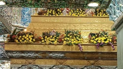 بمناسبت سالروز ولادت حضرت زینب(س) صورت گرفت؛
گل آرایی حرم حضرت سید الشهدا(ع)+عکس 4