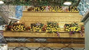 بمناسبت سالروز ولادت حضرت زینب(س) صورت گرفت؛
گل آرایی حرم حضرت سید الشهدا(ع)+عکس 4