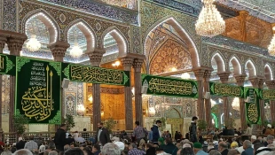 بمناسبت سالروز ولادت حضرت زینب(س) صورت گرفت؛
گل آرایی حرم حضرت سید الشهدا(ع)+عکس 5