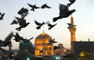 کلامی قابل تأمل از امام رضا (ع)