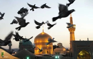 کلامی قابل تأمل از امام رضا (ع)