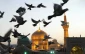 کلامی قابل تأمل از امام رضا (ع) 2