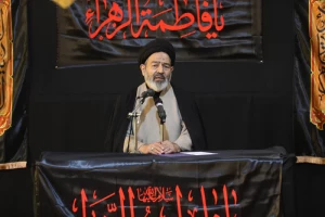 حجة الاسلام نواب؛ النشاط العام متجذر في الحب و البغض