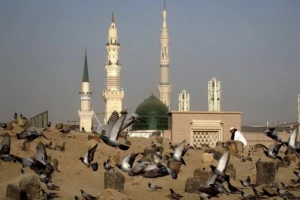 زائر ایلامی: سفر به مدینه حال معنویم را دگرگون کرد+فیلم