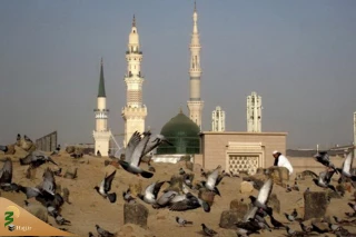 زائر ایلامی: سفر به مدینه حال معنویم را دگرگون کرد+فیلم