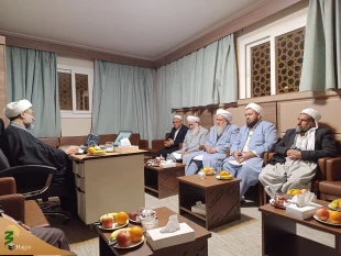 تاکید علمای اهل سنت بر افزایش کیفیت حمل و نقل زائرین در دیدار با نماینده بعثه در مدینه 7
