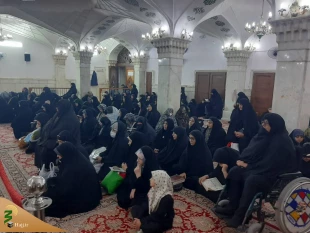 

برگزاری دعای روح بخش کمیل در حرم مطهر امیرالمومنین علی (ع) در نجف اشرف 2