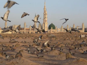 مدینه شناسی| آشنایی با بقیع +فیلم