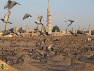 مدینه شناسی| آشنایی با بقیع +فیلم