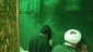 با حضور رئیس بعثه مقام معظم رهبری 

غبار روبی حرم شاه چراغ  6