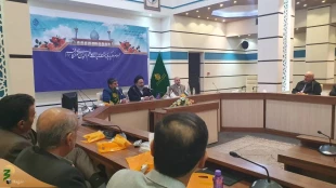 Head of Iranian Pilgrims Calls for More Efforts to Increase Quality of Hajj Journey for Pilgrims 4