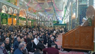 جشن میلاد امام علی(ع) در کربلاء معلی برگزار شد 8