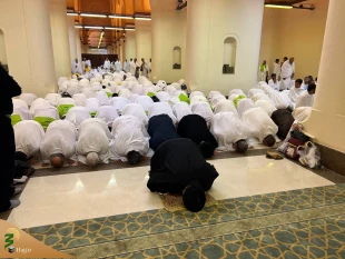 فرصت را از دست ندهید  10