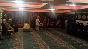 رسالت خانواده شهداء، رسالت زینبی(س) است+عکس