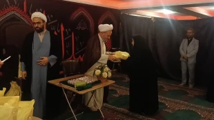 رسالت خانواده شهداء، رسالت زینبی(س) است 9