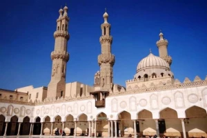الازهر برای اعزام کاروان‌ انسان‌دوستانه به غزه فراخوان داد