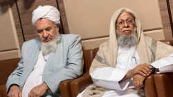 دیدار علما و اندیشمندان اهل سنت با مسئول دفتر بعثه مقام معظم رهبری در مدینه: تأکید بر وحدت و فضائل امیرالمؤمنین 7