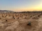 
"زائران عمره رجب در صف طولانی بقیع: سفری معنوی، پر از اشک و عشق به اهل بیت (ع)" 15