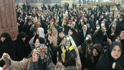 توزیع گل در حرم امام حسین