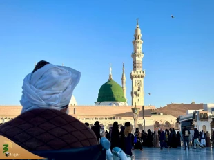 اشک و دعا زیر آفتاب مدینه؛ لحظه‌های ناب در حریم پیامبر مهربانی

 18