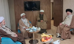 دیدار مسئول نمایندگی بعثه مقام معظم رهبری در نجف اشرف با آیت الله حسینی بوشهری 3