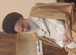 ملاقات مسئول بعثه مقام معظم رهبری در عراق با آیت‌الله حسینی بوشهری
