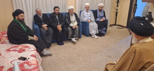 ملاقات مسئول بعثه مقام معظم رهبری در عراق با آیت‌الله حسینی بوشهری