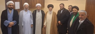 ملاقات مسئول بعثه مقام معظم رهبری در عراق با آیت‌الله حسینی بوشهری