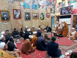 گرامی داشت ایام الله دهه مبارک فجر در نجف اشرف 3