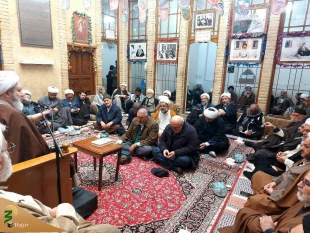 گرامی داشت ایام الله دهه مبارک فجر در نجف اشرف 4