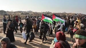 بازگشت بیش از ۵۴۵ هزار فلسطینی به شمال غزه