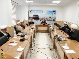 Head of the Iranian Pilgrims: 
Using domestic and foreign planes for Hajj 1404
 2