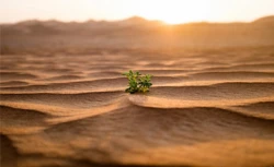 زمین مقدّس خدا کجاست؟ 2