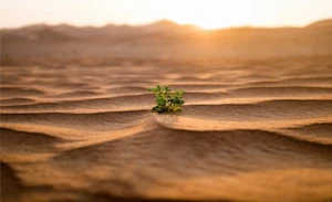 زمین مقدّس خدا کجاست؟