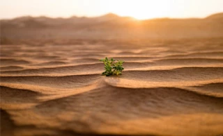 زمین مقدّس خدا کجاست؟