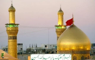 چرا به زیارت کربلا برویم؟