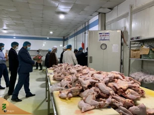 بازدید دست اندرکاران حج و زیارت از بزرگترین آشپزخانه متمرکز در طبخ غذای زوار ایرانی

طبخ ۱ میلیون و ۸۰۰ هزار پرس غذا طی ۱۱ ماه 7
